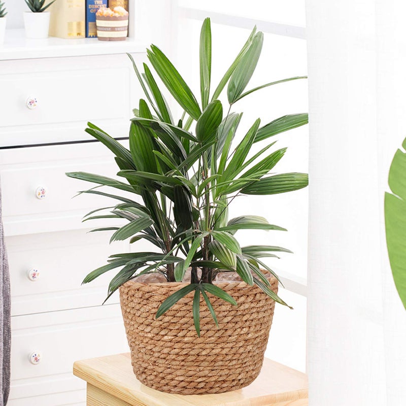 Ufrount Seagrass Planter Basket Stylish Planter Baskets for Indoor and Outdoor Plants Perfect for Flower Pots Cover and Room Decoration, Set of 4 - Image 5